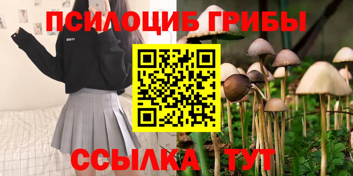 Псилоцибиновые грибы Cubensis Зеленодольск